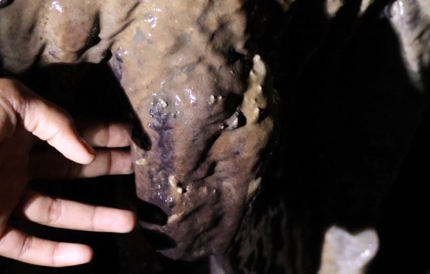 Explore Naihehe Cave Tour Sigatoka Fiji