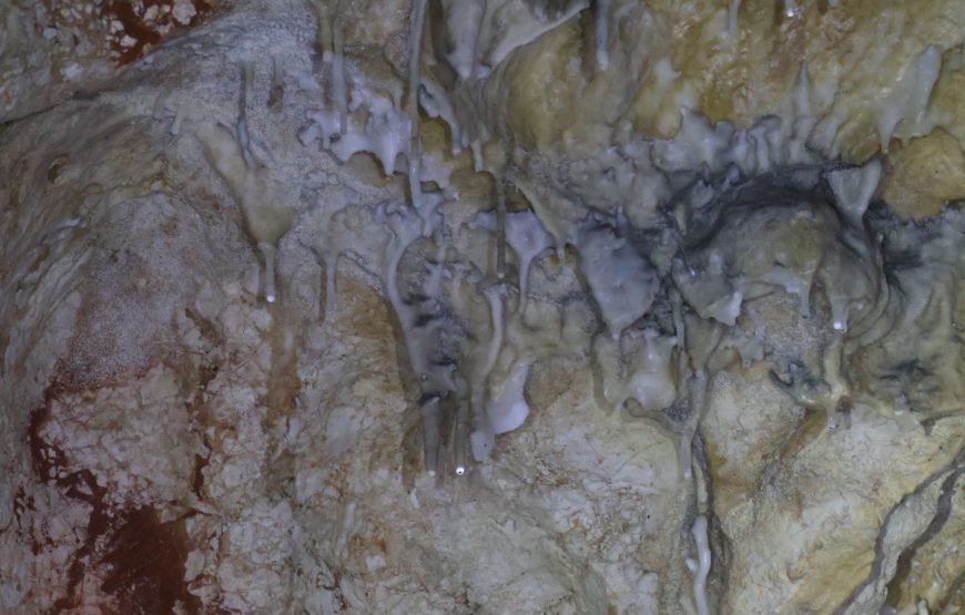 Explore Naihehe Cave Tour Sigatoka Fiji