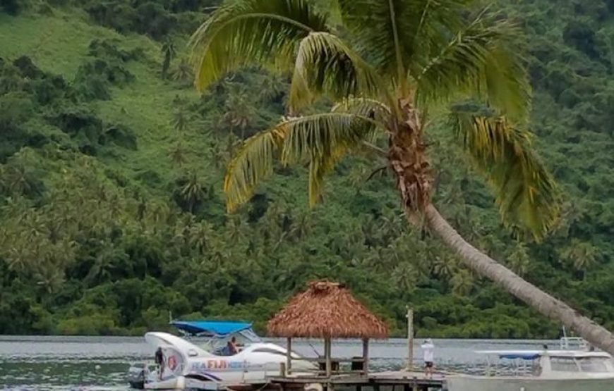 Beqa Lagoon 2 Hour Day Tour