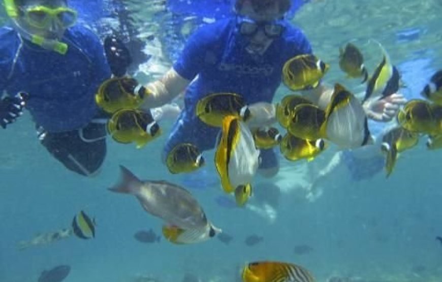 Fiji: Mamanuca Islands All-Inclusive Sailing Cruise