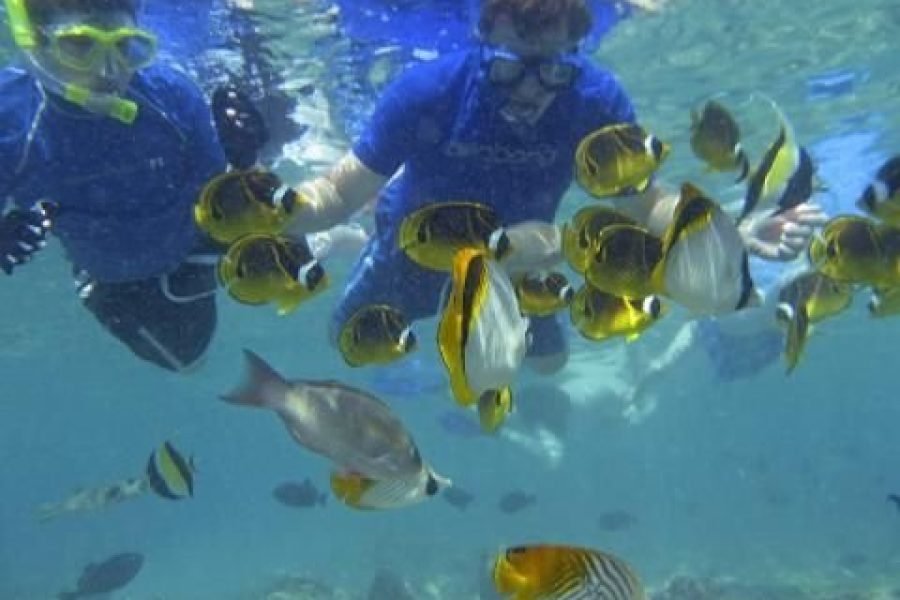 Fiji: Mamanuca Islands All-Inclusive Sailing Cruise