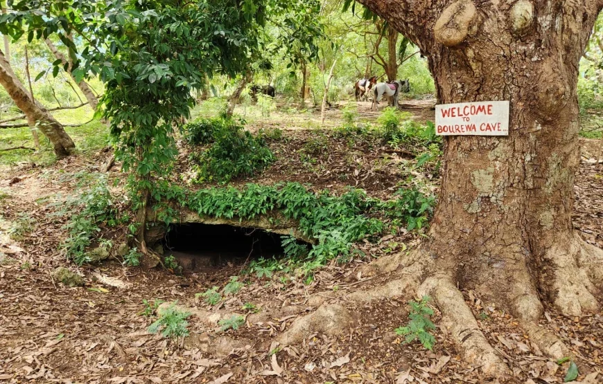Natadola Beach Combinational Horse Riding Fiji