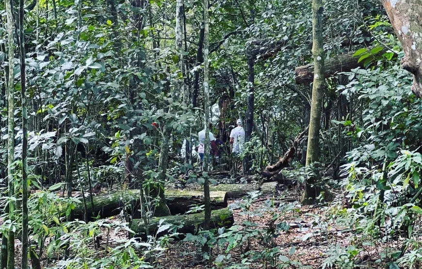Middle Navua River Kayaking Tour Fiji