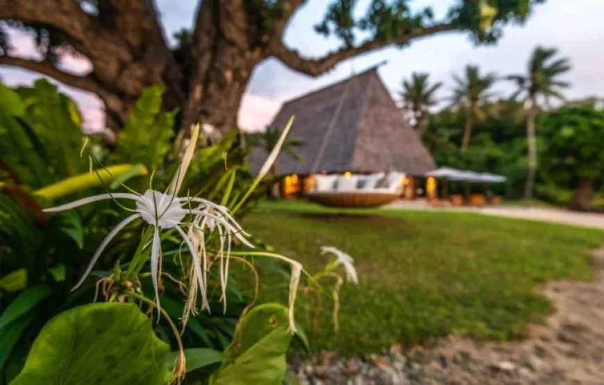 Mount Batilamu Peak Day Trek Fiji