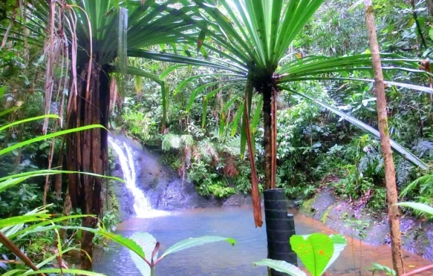 Fijian Nature and Waterfall Tour