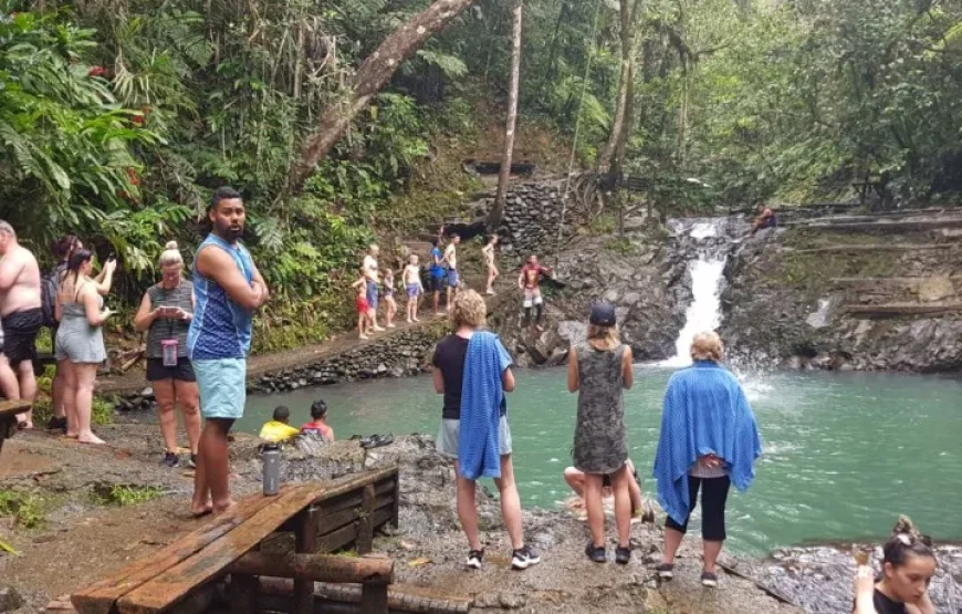 Fijian Nature and Waterfall Tour