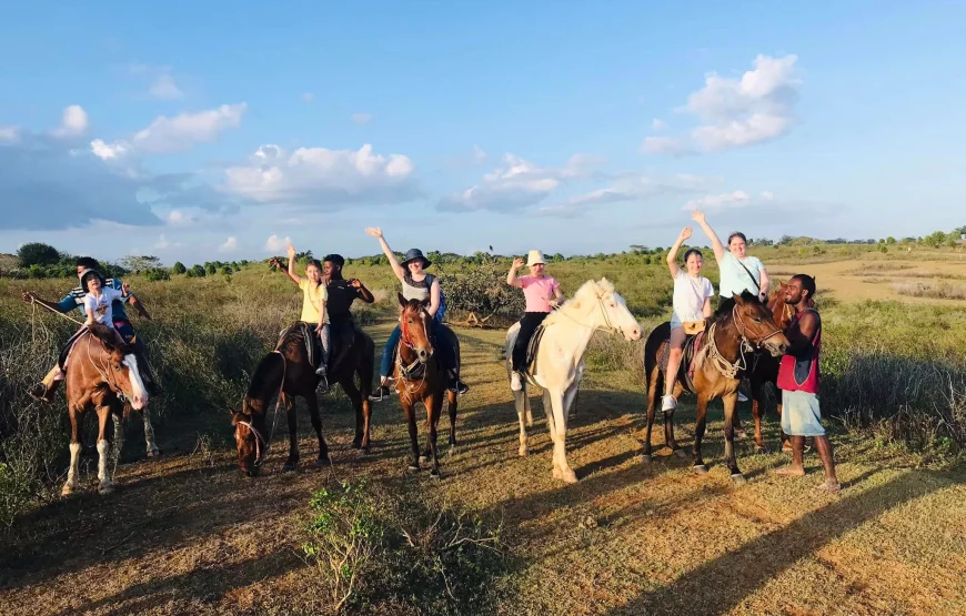 Natadola Beach Cross Country Horse Riding Fiji