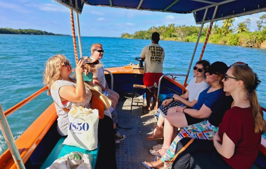 The Top Fiji Half-day Snorkelling Tour (Advance Payment)