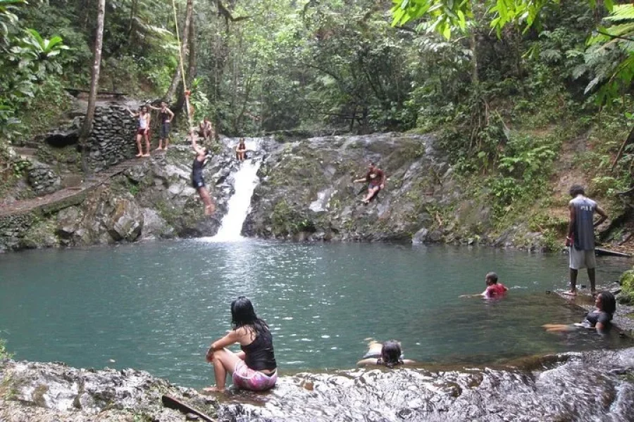 Colo-i-Suva Forest Waterfall Tour