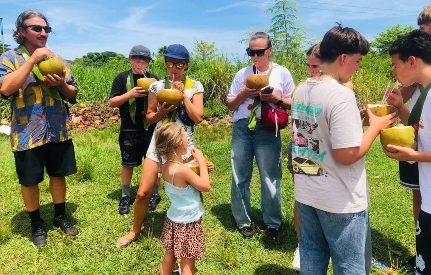 Nadi Airport to Aquarius Beach Resort